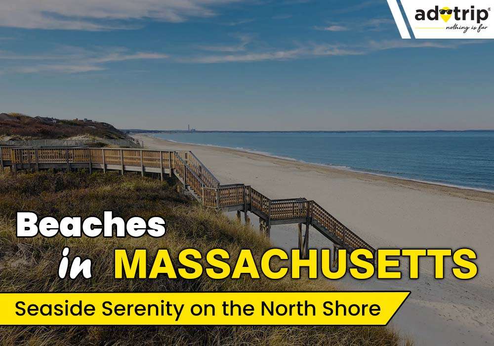 15 Best Beaches In Massachusetts